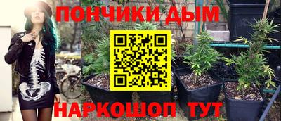 гашик Кандалакша