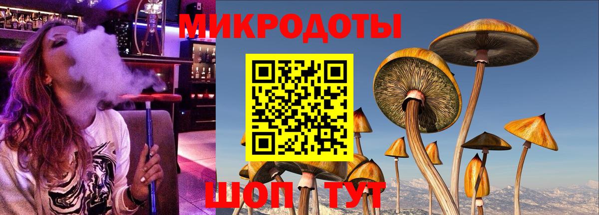 Псилоцибиновые грибы Psilocybe  Вход с VPN  Заречный  Галлюциногенные грибы мицелий 